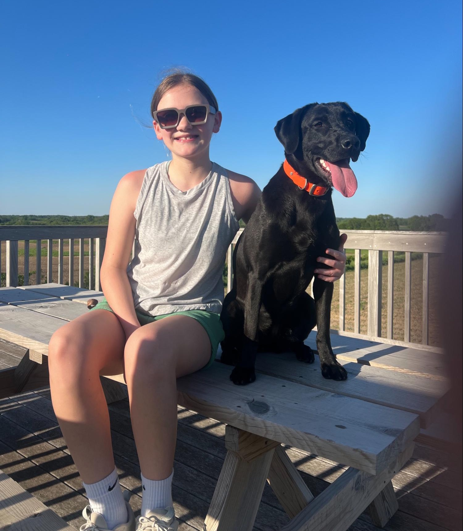 Previous dog photo - Reign